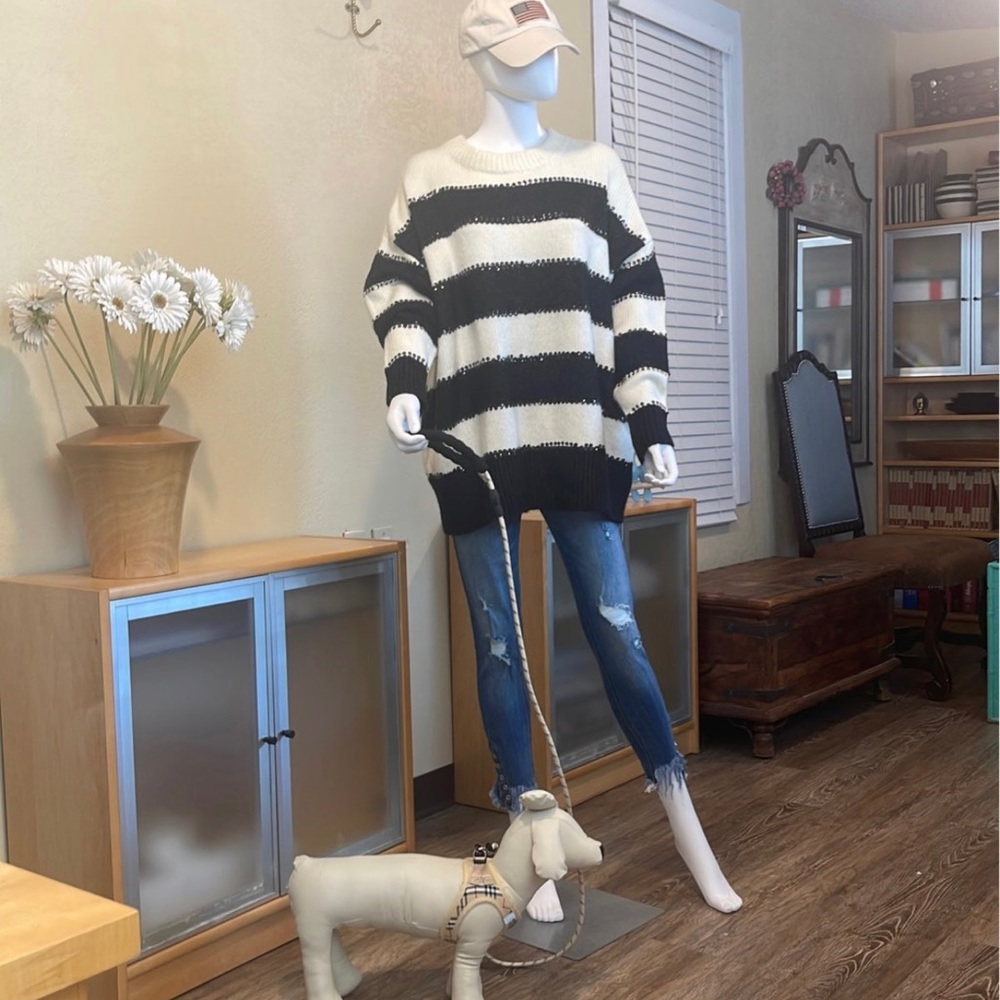 NWT soft, Zara women sweater